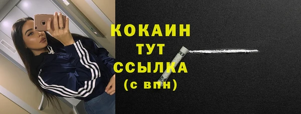 твердый Вязники