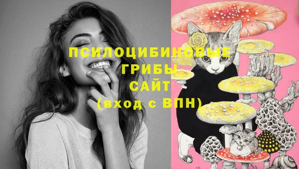 мескалин Вязьма
